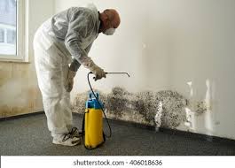 Best Biohazard Mold Removal in White Island Shores, MA